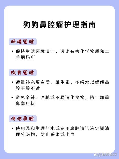 狗狗鼻腔瘤护理指南 1.环境管理 2.饮食管理 3.清洁鼻腔 4